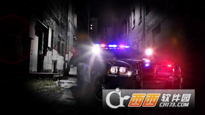 Police VS Thief:Car Pursuit(警察VS贼汽车追求) v2.0