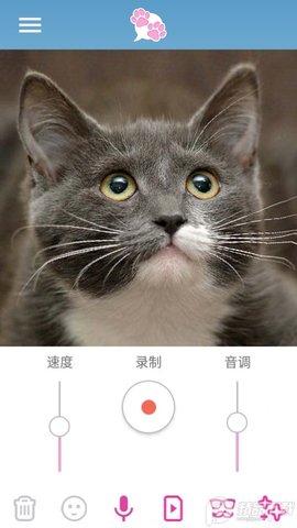 我的宠物会说话截图1