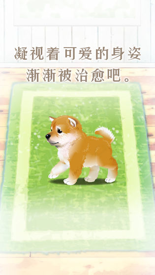 养育柴犬的治愈游戏安卓版  v3.3.4