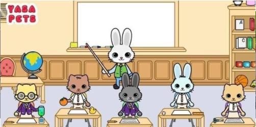 亚萨宠物学校 2024-06-25 15:08