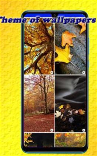 甜美壁纸和背景 v1.1