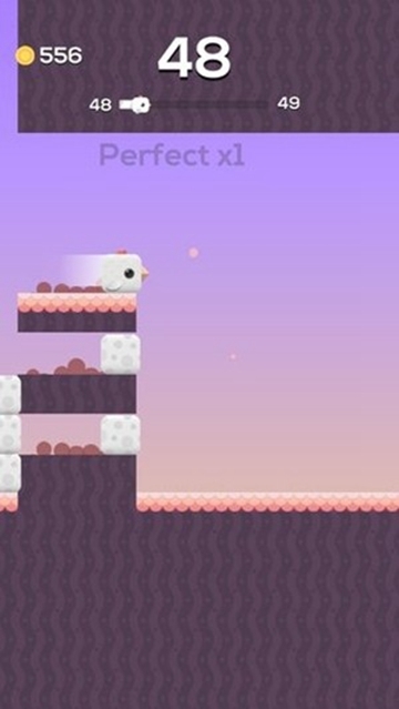 Square Bird(方形鸟APP) v2