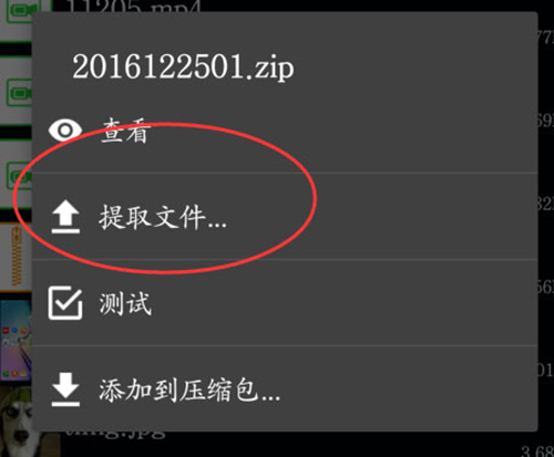 zarchiver最新版2024