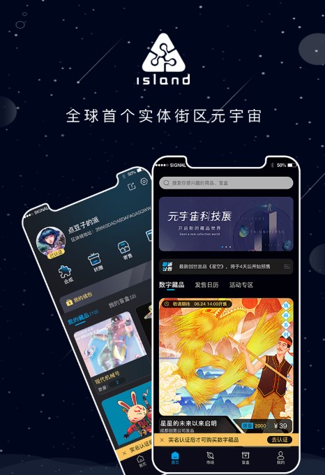 island艺术空间截图1