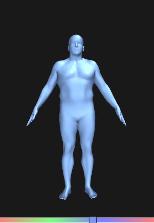 bodyvisualizer v1.0.0