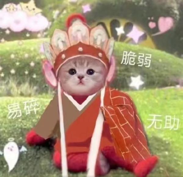 猫咪唐僧头像图片.png 猫咪唐僧头像图片.png