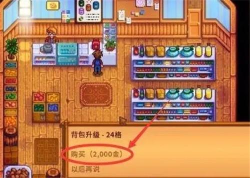 星露谷物语国际服