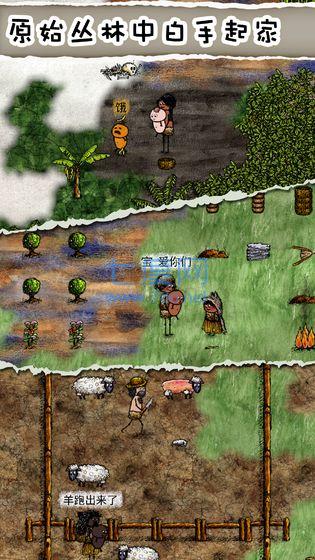 华夏人生正式版 v1.04