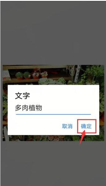 手机修图Snapseed