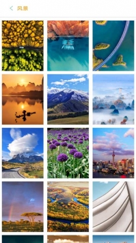 壁纸喵 v3.0.5