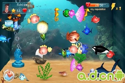 水族箱 Fish Live v1.3.1截图0