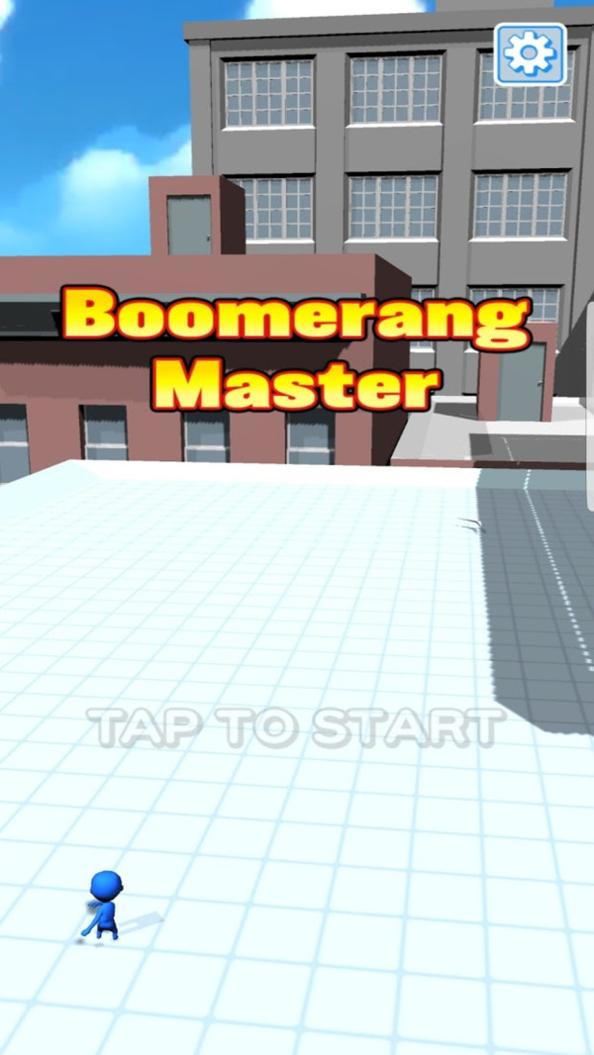 回旋镖大师3D v1.0