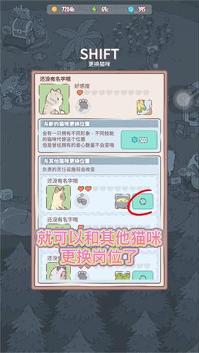 猫咪和汤国际服