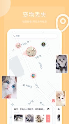 宠宝 2020-05-29 17:19