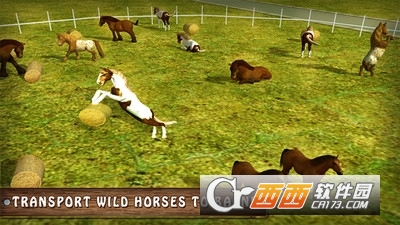 模拟野马动物园运输卡车汉化版 v1.0