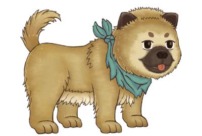 桃源记宠物家犬