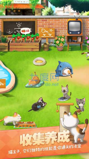猫语咖啡新版