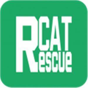 救援猫