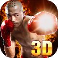 真实拳击对决完整版
