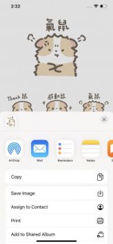 鼠鼠谐音 v3.0.5