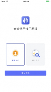 镜子原理 v3.2.5