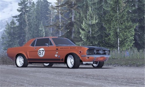 CarX拉力赛正版  v16205