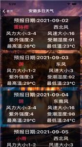 迈奇旅游小工具