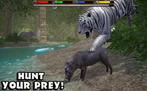 野生动物冲刺传奇 2020-02-26 14:00