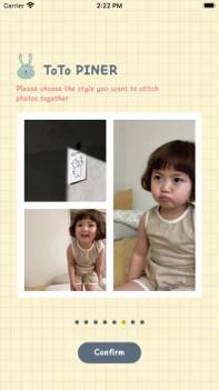 ToTo PINER v3.0.5