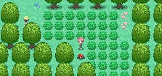 精灵风暴太阳神最新版本  v1.1.0