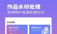 视频水印去除专家