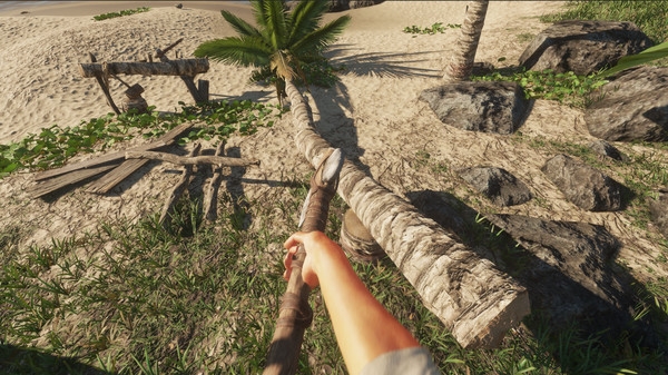 Stranded Deep v3.0.5