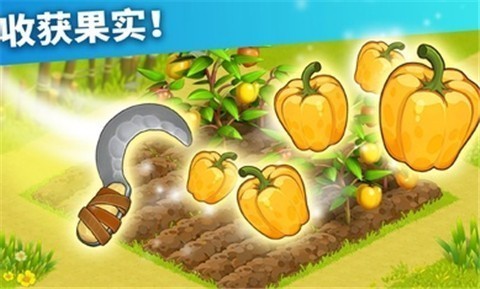 家庭岛冬奥会 2024-06-25 15:08