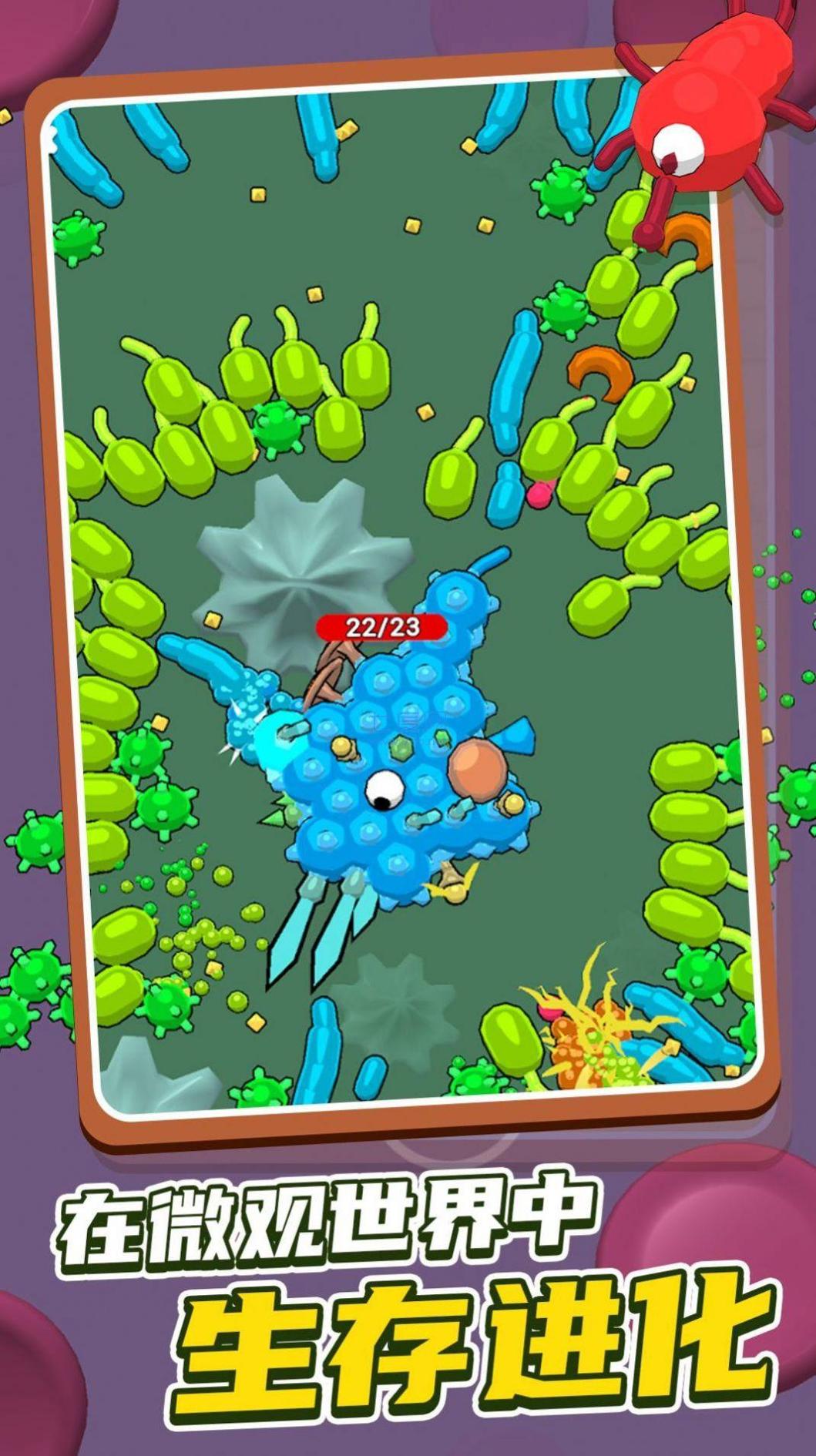 昆虫粉碎者游戏 v1.0