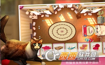 CatHotel(猫舍游戏v2.0)截图2