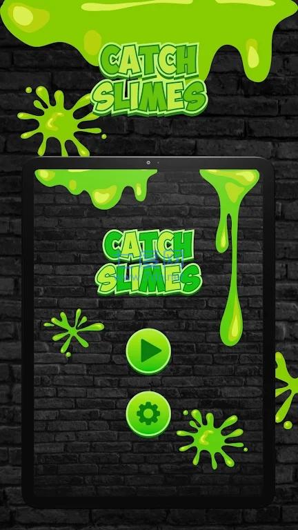 捕捉粘液Сatch Slimes