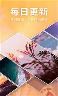 画壁高清壁纸 v210921.1