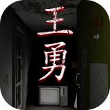 孙美琪疑案王勇