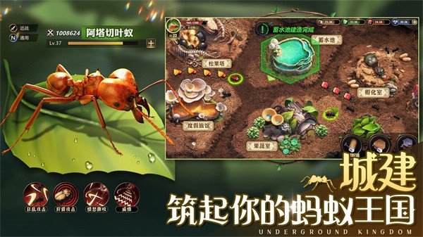小小蚁国蚁族时代  v1.82.0