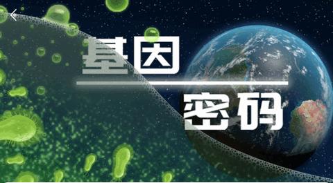 基因密码测试服