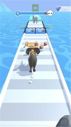 动物进化竞赛  v0.2