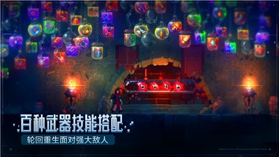 重生细胞b站登录版  v3.3.6