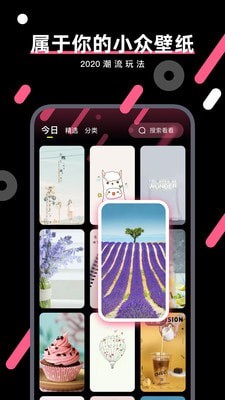 桔子壁纸 v4.0.4