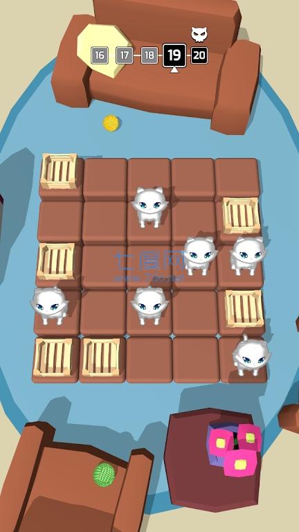 猫和盒子Cats And Boxes