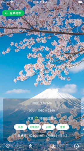 集美美图 v1.5.0