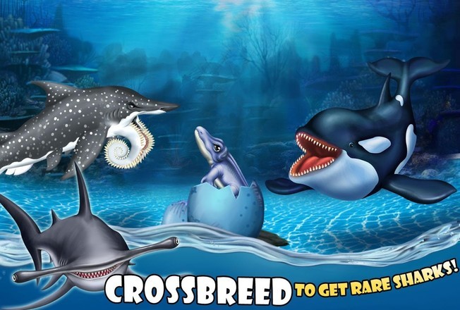 海怪城市 2020-11-03 14:40