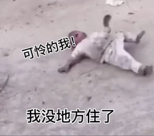 你把我家别墅炸没了动态表情包  v1.0