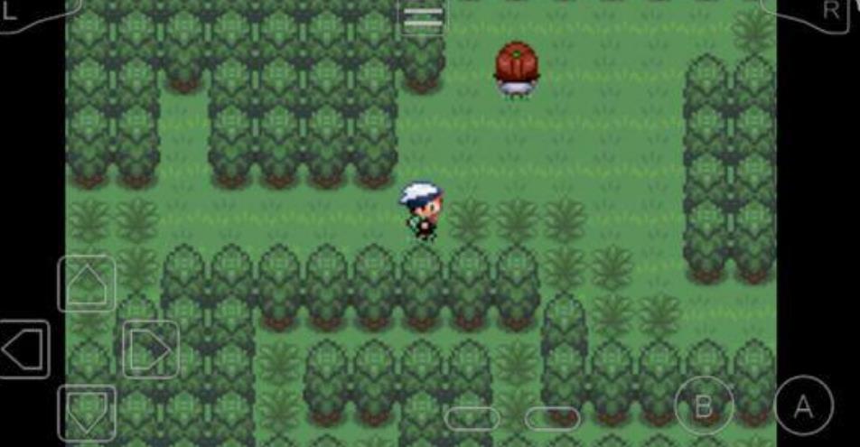 究极绿宝石之黎明的送葬金手指汉化最新版  v3.0.3