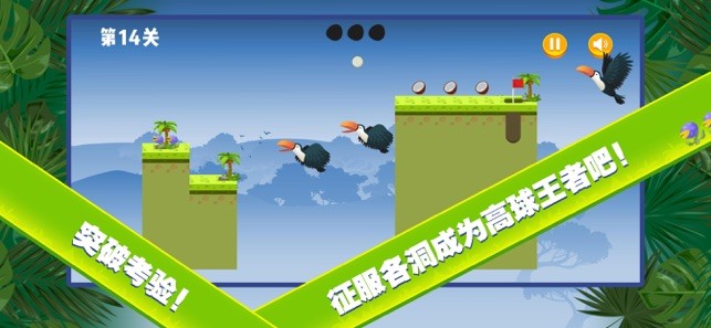 小金雨林球赛  V 1.0