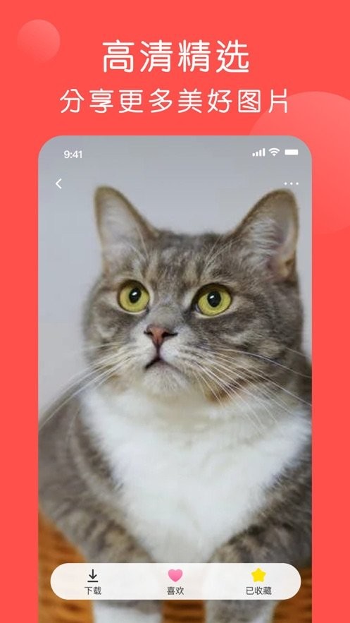 糖糖壁纸  V 1.0.0